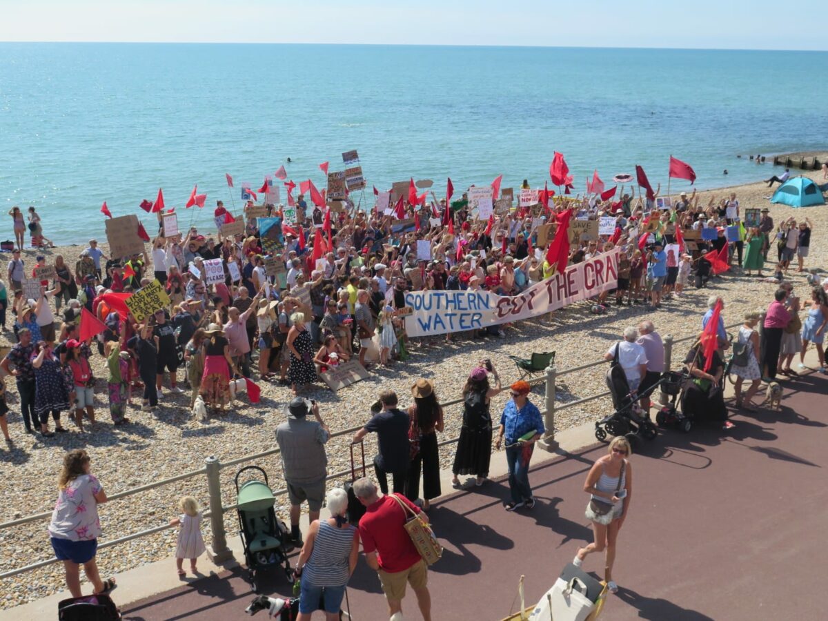 A large crowd of people on a beach, holding red flags and banners.